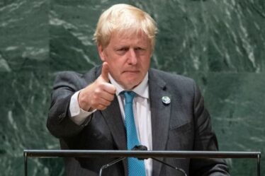 « À droite sur la marque » Un expert en climat se félicite du discours de Kermit the Frog de Boris Johnson à l'ONU