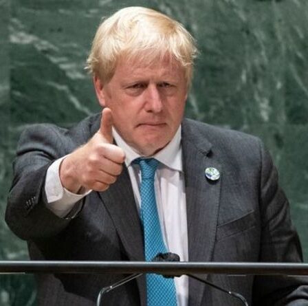 « À droite sur la marque » Un expert en climat se félicite du discours de Kermit the Frog de Boris Johnson à l'ONU