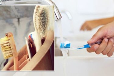 À quelle fréquence devez-vous remplacer votre brosse à dents ?  Le sinistre impact que cela pourrait avoir sur votre santé
