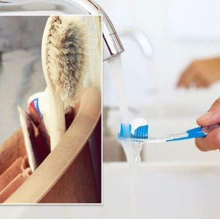 À quelle fréquence devez-vous remplacer votre brosse à dents ? Le sinistre impact que cela pourrait avoir sur votre santé