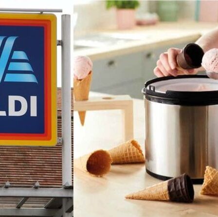 Aldi lance une gamme de pâtisseries maison avec des prix à partir de 89p