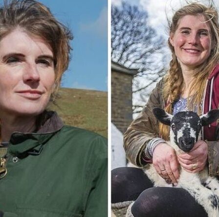 Amanda Owen dit qu'elle est « tellement excitée » d'être de retour alors que la date de retour de Our Yorkshire Farm a été confirmée