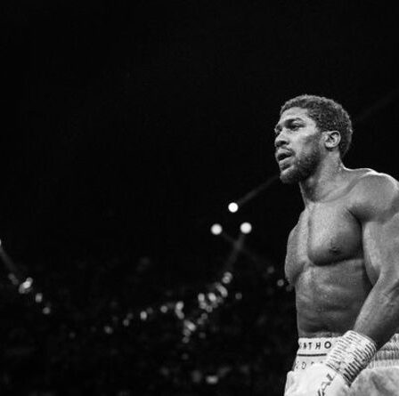 Anthony Joshua a averti qu'il était "un adversaire parfait" pour Oleksandr Usyk avant le combat de Tottenham