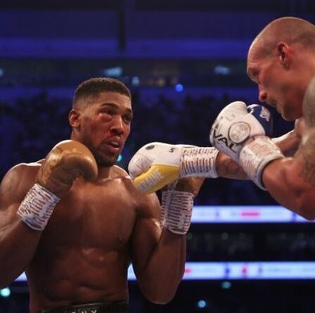 Anthony Joshua a donné des conseils à Lennox Lewis sur la façon dont il peut encore devenir le roi des poids lourds