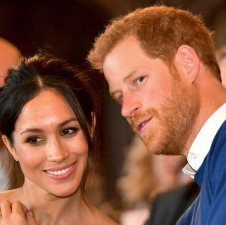 Archie et Lilibet de Meghan Markle et du prince Harry attendent un nouveau compagnon de jeu