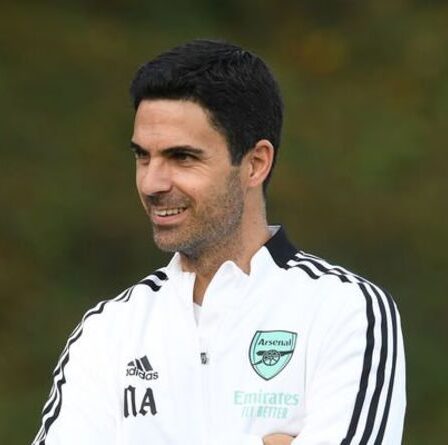 Arsenal a deux problèmes qui s'opposent au plan de transfert à prix réduit de Luka Jovic