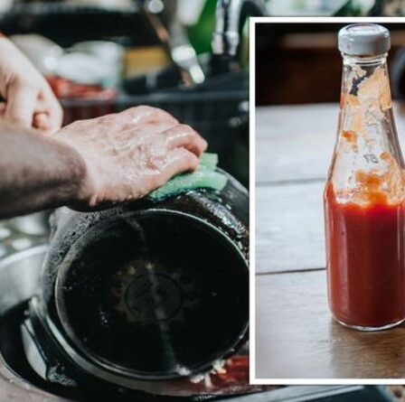 Astuces pour nettoyer le ketchup : 5 utilisations surprenantes du ketchup dans la maison