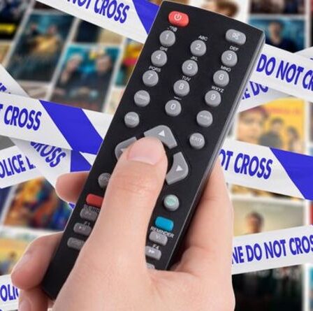 Avertissement de la police envoyé à des centaines de milliers de téléspectateurs gratuits de Sky, Netflix et Prime Video