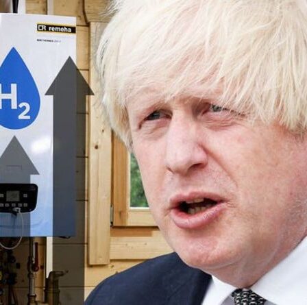 Avertissement sur le changement climatique: le plan directeur net zéro de Boris pourrait coûter jusqu'à 14 000 £ aux foyers britanniques
