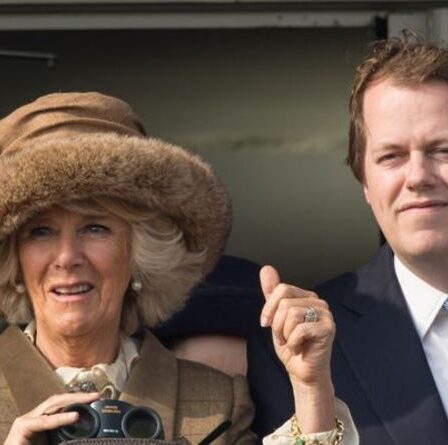 « Belle idée ! » Camilla félicitée par les fans royaux pour avoir enrôlé son fils pour un club de lecture en ligne