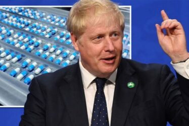 Boris Johnson a averti que le statut de leader mondial du Royaume-Uni serait « gravement endommagé » par la réduction du budget