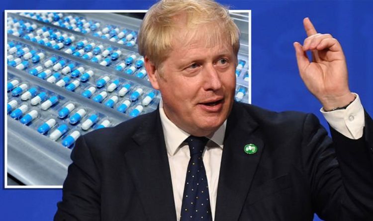 Boris Johnson a averti que le statut de leader mondial du Royaume-Uni serait « gravement endommagé » par la réduction du budget