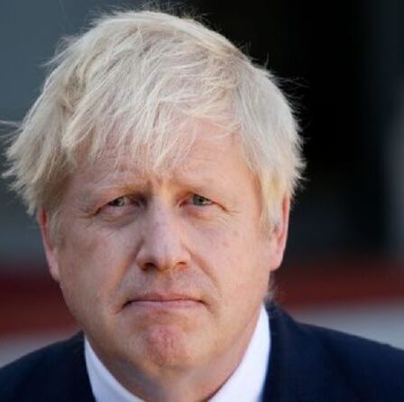 Boris Johnson évitera le verrouillage de Noël en déployant des jabs de rappel Covid pour les plus de 50 ans