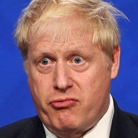 Boris Johnson harcelé par les chefs d'entreprise à propos de la randonnée de NI « Un coup de pied dans les dents ! »