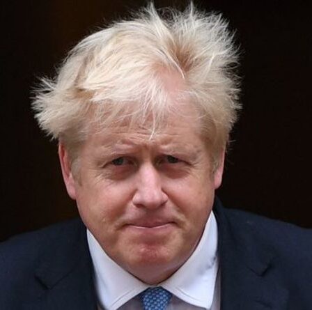 Boris Johnson n'a pas encore montré comment il dirigerait le Brexit Grande-Bretagne - Le Premier ministre décidera du sort du Royaume-Uni à l'automne