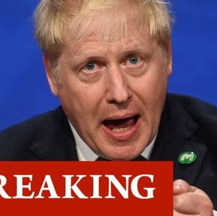 Boris lancera une bombe sur l'UE avec un paquet Brexit d'urgence pour sauver les importations