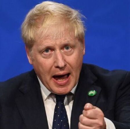 Boris s'apprête à brandir la hache lors du remaniement ministériel alors que Raab, Patel et Williamson font face à la côtelette