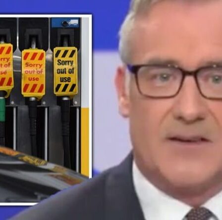 Brazier de GB News démantèle Remoaner se réjouissant de la pénurie de carburant
