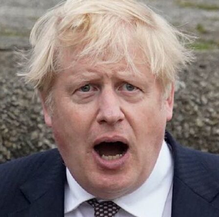 Brexit Britain est le "caniche" de Biden ! L'ancien ambassadeur de France s'en prend à la victoire du sous-marin britannique