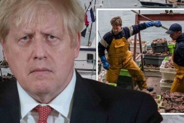 Brexit LIVE : Il est temps d'agir !  La France dénonce la «mauvaise foi» du Royaume-Uni dans la fureur de la pêche – la date limite approche