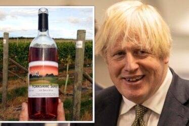 Brexit La Grande-Bretagne profite d'un «boom du vin» pour l'économie alors que l'industrie se prépare à une injection de 658 millions de livres sterling