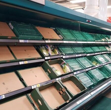 Brouillez-vous pour arrêter la catastrophe de Noël alors que les pénuries alimentaires devraient être un «problème permanent»