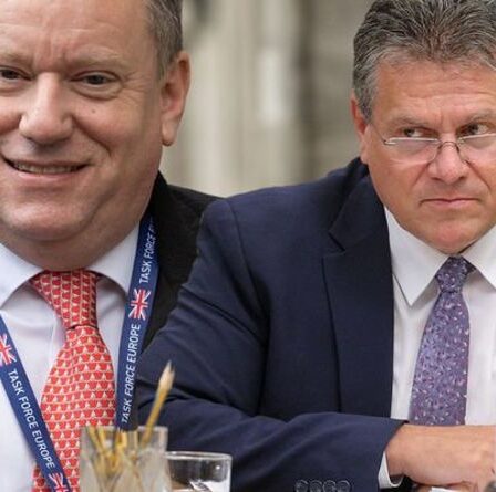 Bruxelles prête à céder ?  L'eurodéputé admet que l'UE "n'a pas la force" de poursuivre le combat contre le Brexit