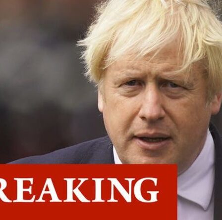 « Ça DOIT changer ! »  Boris tient tête aux intimidateurs de l'UE après que Sefcovic a demandé au Royaume-Uni de renoncer au Brexit