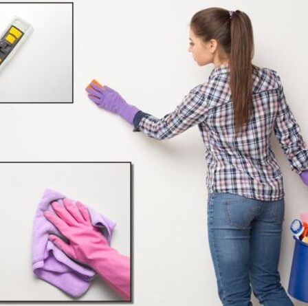 « Ça a l'air si propre ! »  – Les fans de Mme Hinch partagent des astuces « fabuleuses » pour embellir les murs à la maison