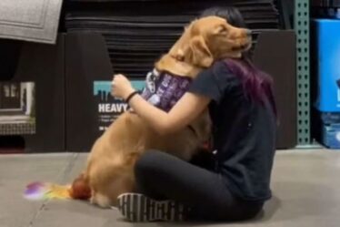 "Ça va" Un chien de thérapie embrasse son propriétaire lors d'une séance de formation en santé mentale en déplaçant TikTok