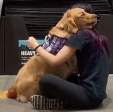 "Ça va" Un chien de thérapie embrasse son propriétaire lors d'une séance de formation en santé mentale en déplaçant TikTok
