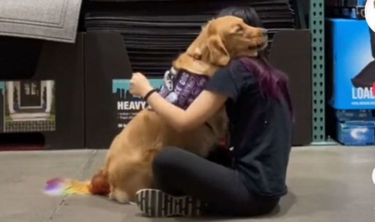 "Ça va" Un chien de thérapie embrasse son propriétaire lors d'une séance de formation en santé mentale en déplaçant TikTok