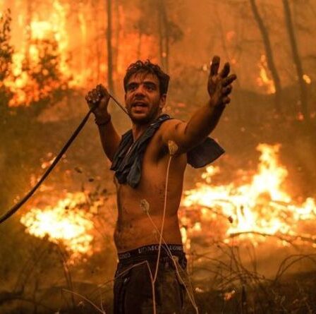 Canicule en Europe : le graphique montre les villes de l'UE piégées dans des sommets d'été INTENABLES d'ici 2050
