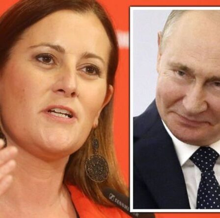 Cauchemar électoral en Allemagne : la joie de Poutine face au graphique d'un sondage choc - Moscou face à des liens plus étroits ?