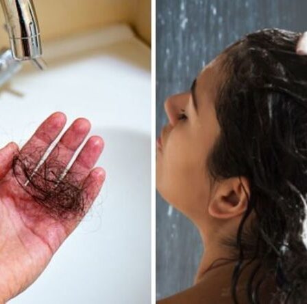 Cause de la chute des cheveux : L'ingrédient dangereux de VOTRE shampooing provoquant la chute des cheveux