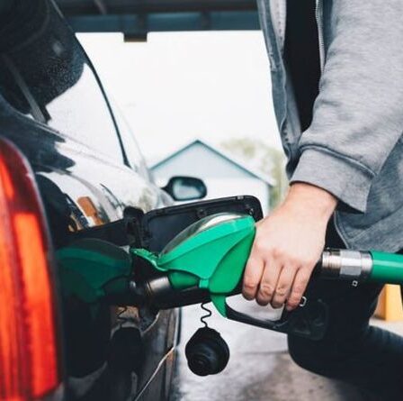 Changements de carburant E10: DVSA émet un avertissement critique aux conducteurs quelques jours après le lancement d'une nouvelle essence
