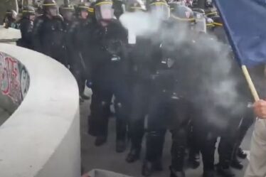 Chaos en France: la police de Paris filmée lors d'un violent affrontement avec des acheteurs refusant le vaccin Covid
