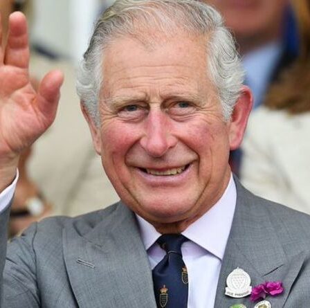 Charles lance une nouvelle chaîne de télévision quelques mois seulement après l'accord Netflix de 75 millions de livres sterling de Harry et Meghan