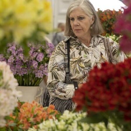 Chelsea Flower Show : raison de « l'œuf élevé » dans une exposition de jardin médaillée d'or
