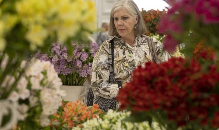 Chelsea Flower Show : raison de « l'œuf élevé » dans une exposition de jardin médaillée d'or