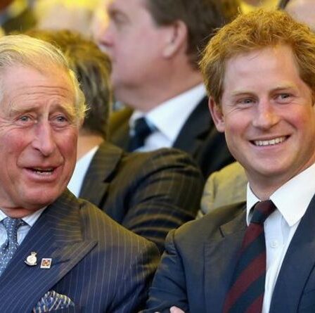 Chuckling Charles réagit au moment mignon du prince Harry avec un lapin dans un clip déterré