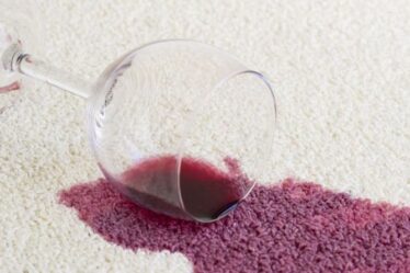 'Comme neuve!'  - Les fans de Mme Hinch partagent des astuces « fantastiques » pour éliminer les taches de vin sur les tapis