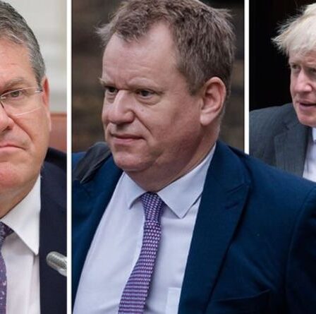 Comment l'UE réagirait si Londres suivait sa menace et déclenchait l'article 16