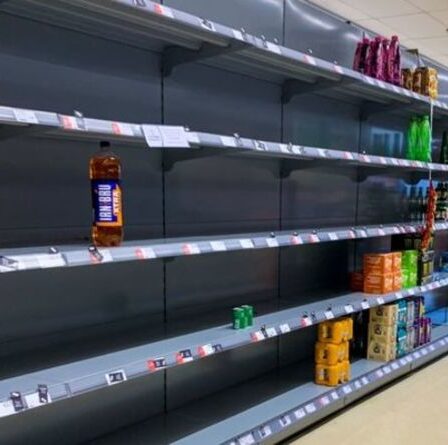 Comment les pénuries alimentaires pourraient s'aggraver - Noël est-il en danger ?