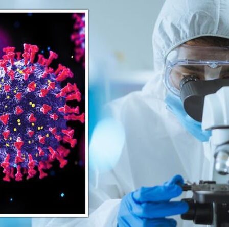 Covid: la nouvelle variante R.1 du Japon est à « surveiller » de près – avertissement d'un expert sur les vaccins