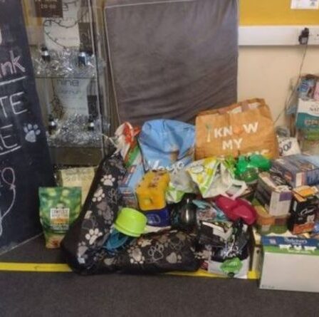 Création d'une banque alimentaire pour chiens de sauvetage pour aider à nourrir les chiots de Manchester dans le besoin