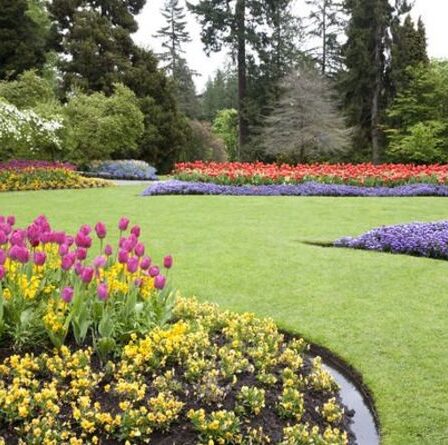 « Créez une illusion de plus d'espace » - un expert partage les meilleurs conseils sur la conception d'une bordure de jardin