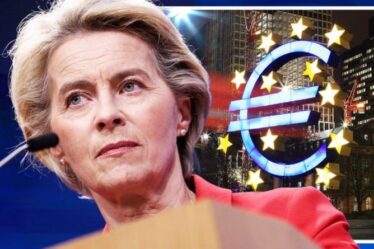 Crise de la zone euro: le bloc monétaire unique de l'UE en alerte alors que l'inflation atteint son plus haut niveau depuis près de dix ans