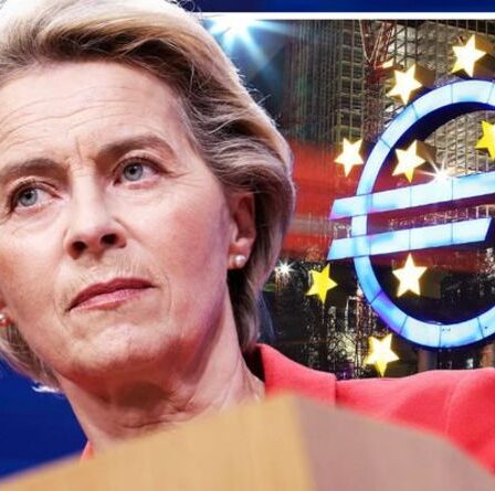Crise de la zone euro: le bloc monétaire unique de l'UE en alerte alors que l'inflation atteint son plus haut niveau depuis près de dix ans