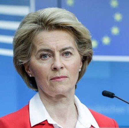 Crise d'identité de l'UE alors que la Norvège envisage un mini-Brexit - et ce n'est même pas un État membre !